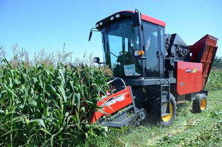 2019中国庞口第二届华北农机地头展圆满落幕，现场交易火爆彰显市场活力